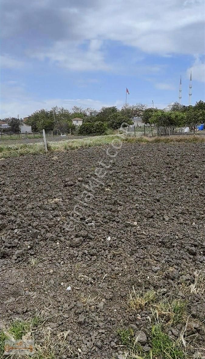 Sizin Halen Hobi Bahçeniz Yok Mu - Görsel 10