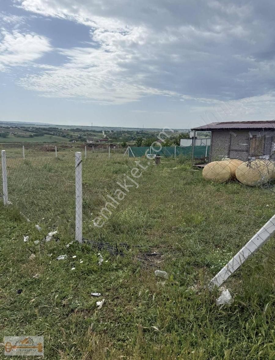 Sizin Halen Hobi Bahçeniz Yok Mu - Görsel 22