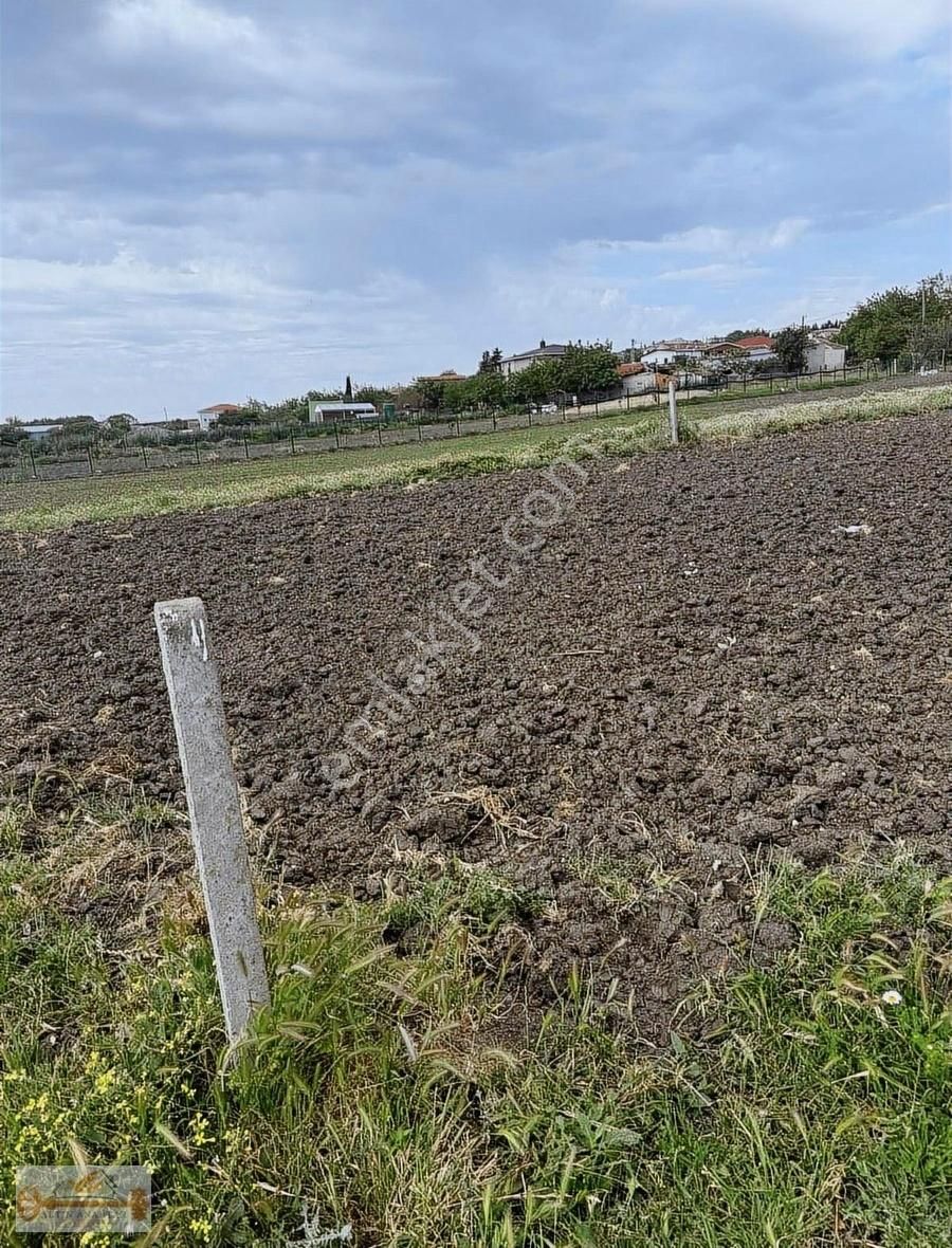 Sizin Halen Hobi Bahçeniz Yok Mu - Görsel 24