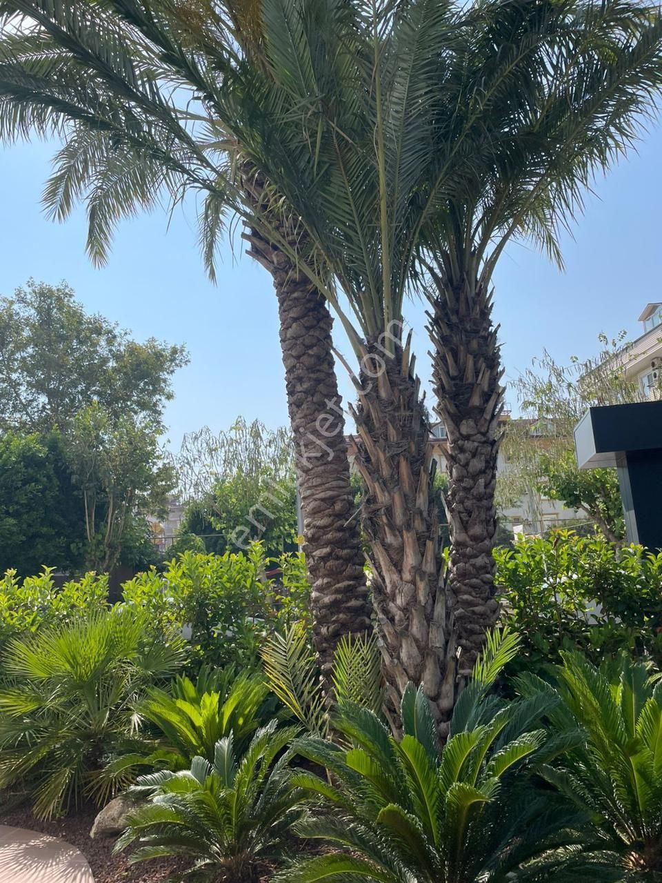 Obagol 2+1 - Görsel 12