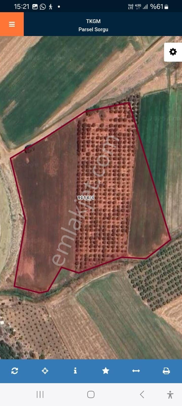 Döşemealtı Kovanlık'da 10.300 M2 Rızai Taksim Yapılmış Tarla