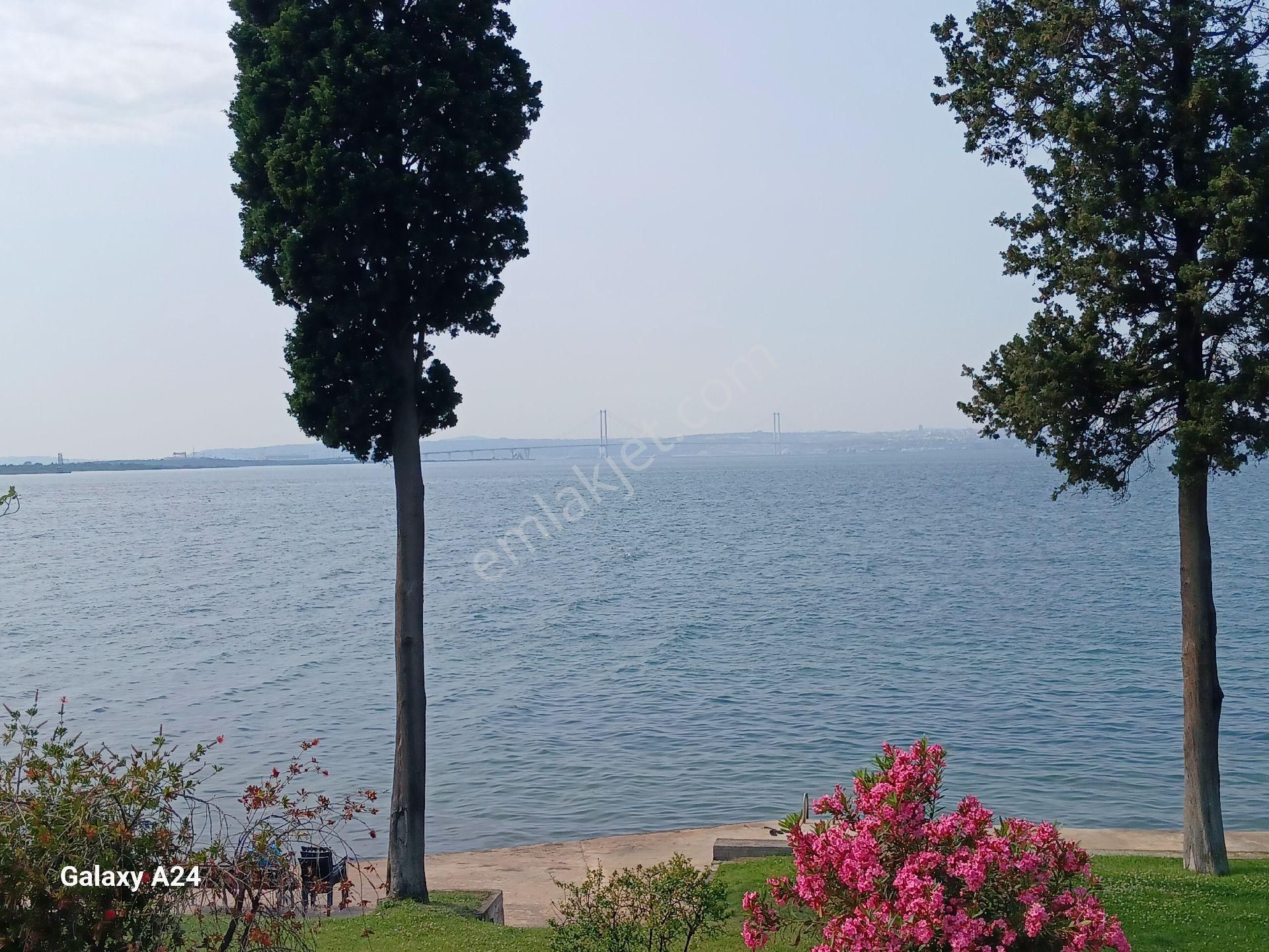 Denize Sıfır