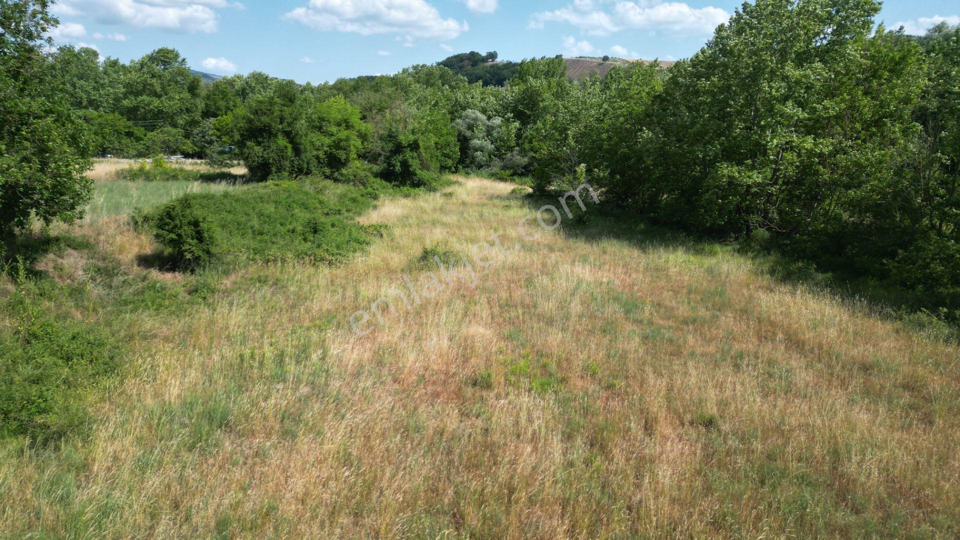 Kocaeli Karamürsel Yalakdere Satılık 7.058 M2 Bahçe - Görsel 9