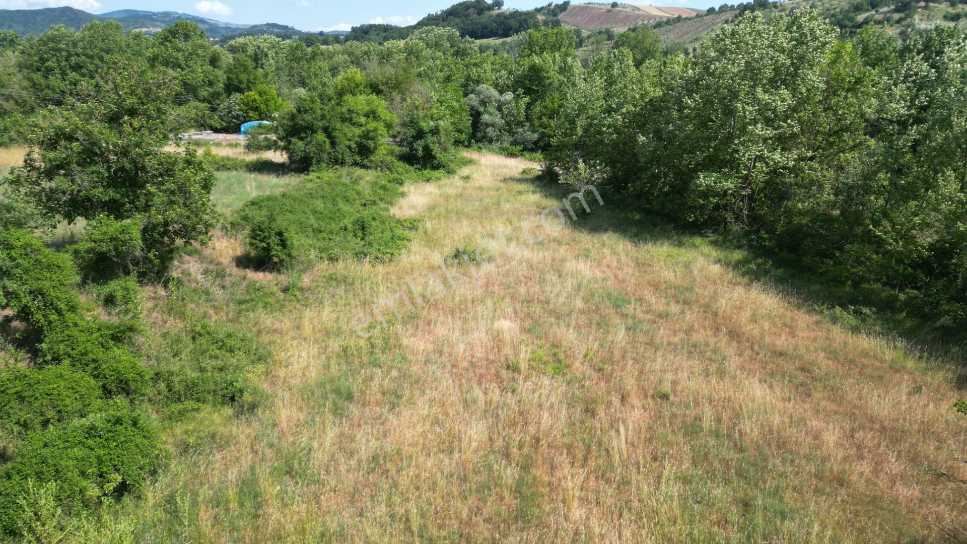 Kocaeli Karamürsel Yalakdere Satılık 7.058 M2 Bahçe - Görsel 8