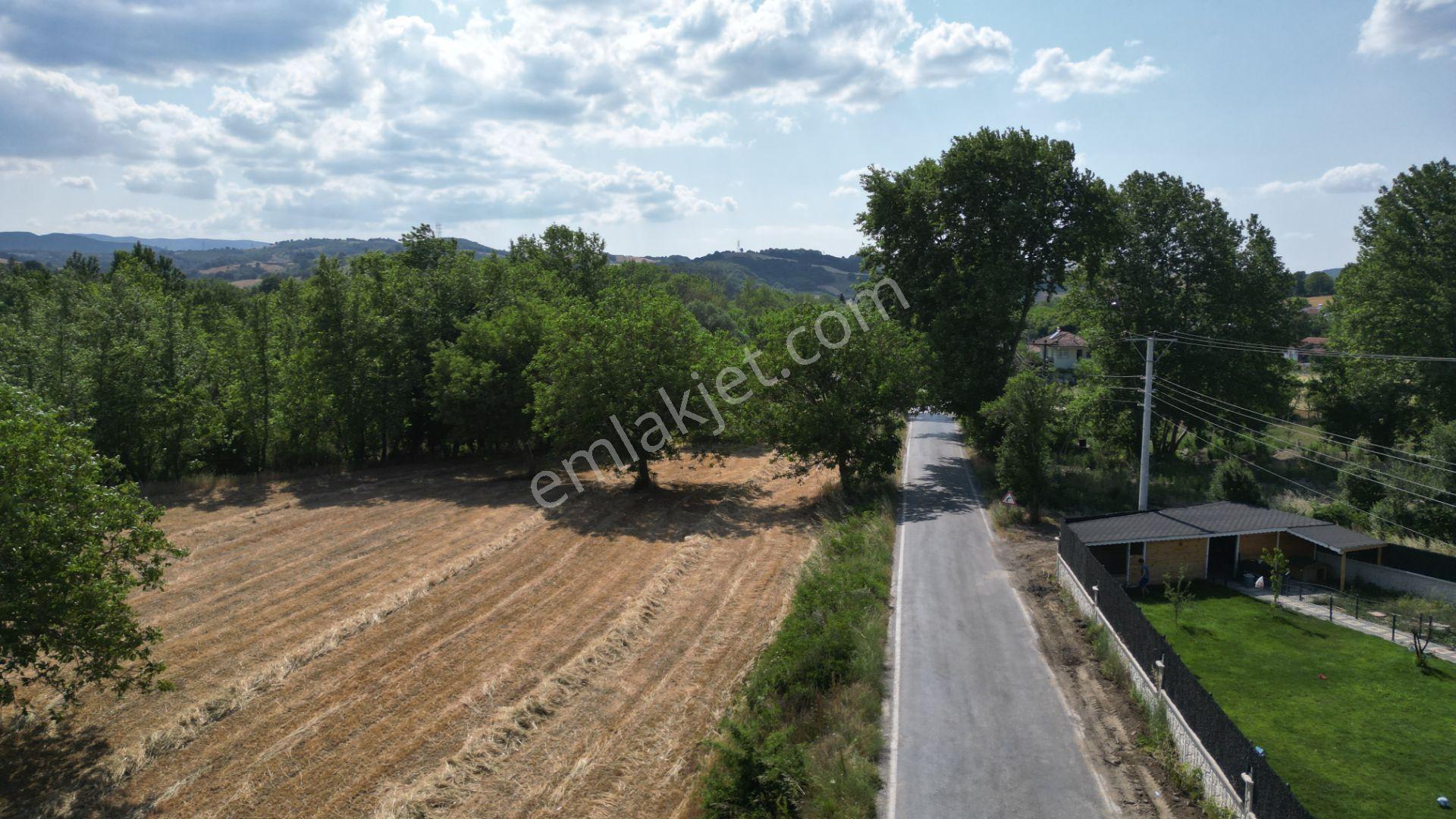 Kocaeli Karamürsel Yalakdere Satılık 7.058 M2 Bahçe - Görsel 12