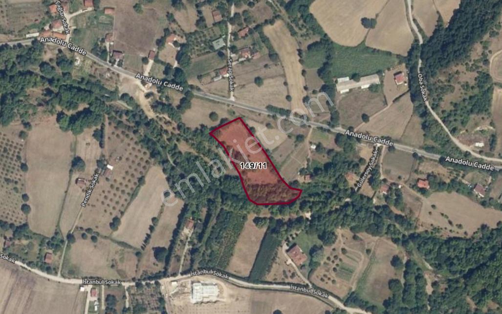 Kocaeli Karamürsel Yalakdere Satılık 7.058 M2 Bahçe - Görsel 13