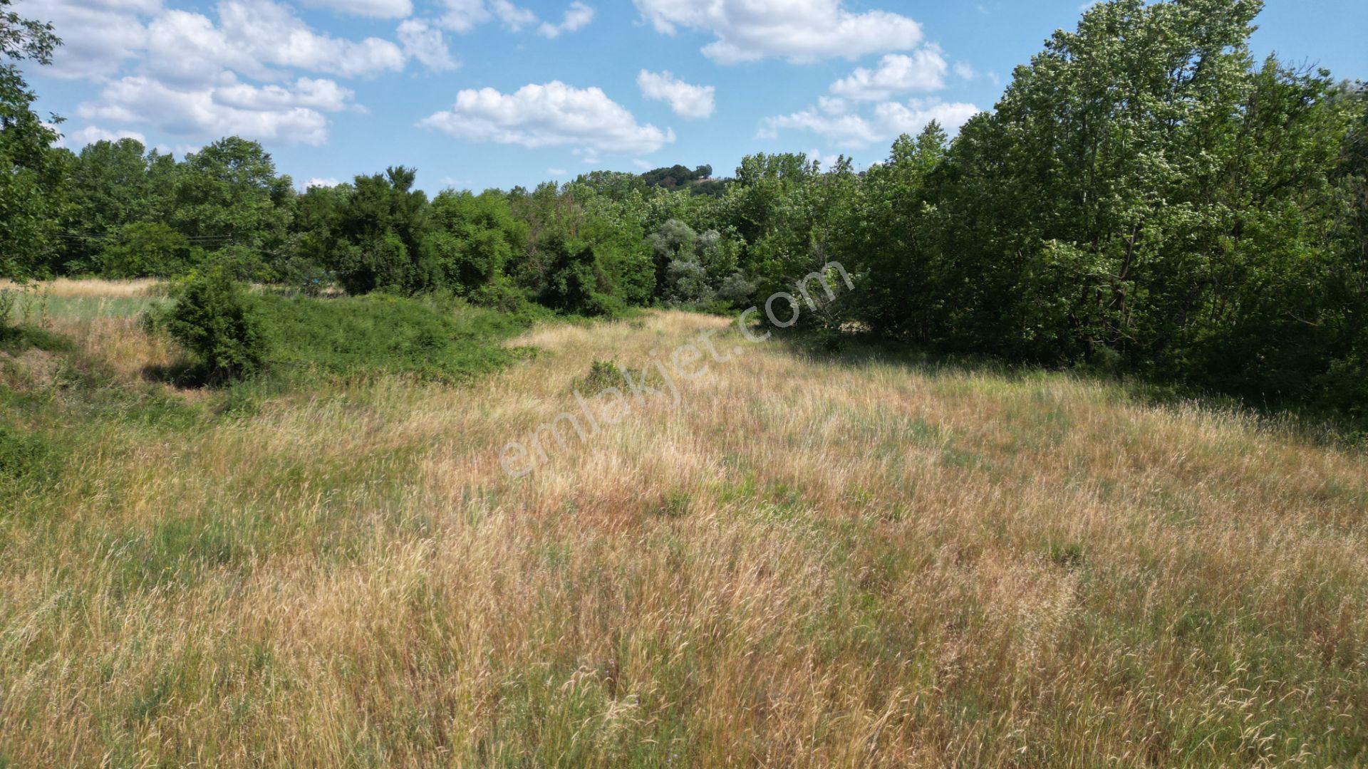 Kocaeli Karamürsel Yalakdere Satılık 7.058 M2 Bahçe - Görsel 10