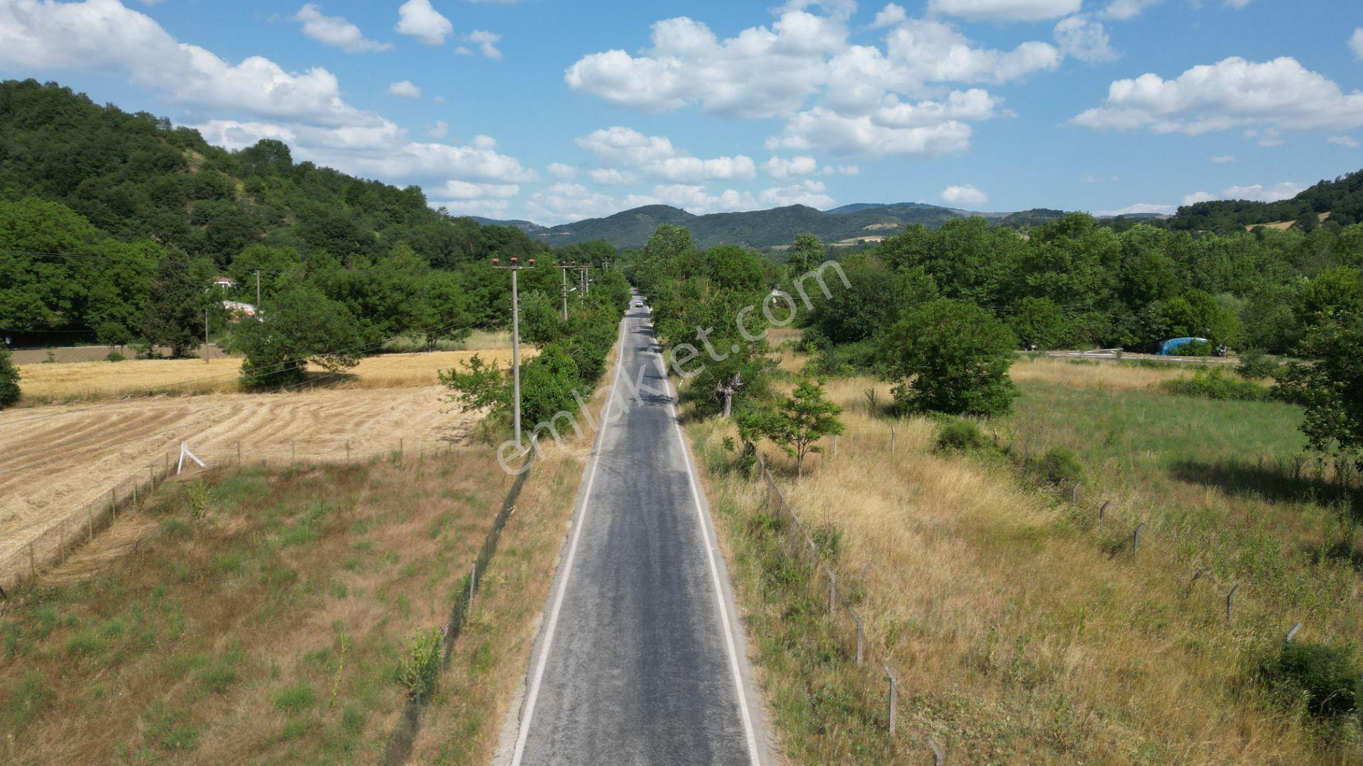Kocaeli Karamürsel Yalakdere Satılık 7.058 M2 Bahçe - Görsel 11