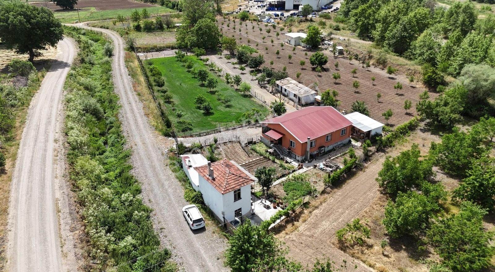 Doğal Şehir Sındırgı'da Satılık Müstakil Ev Ve Çiftlik Arazisi