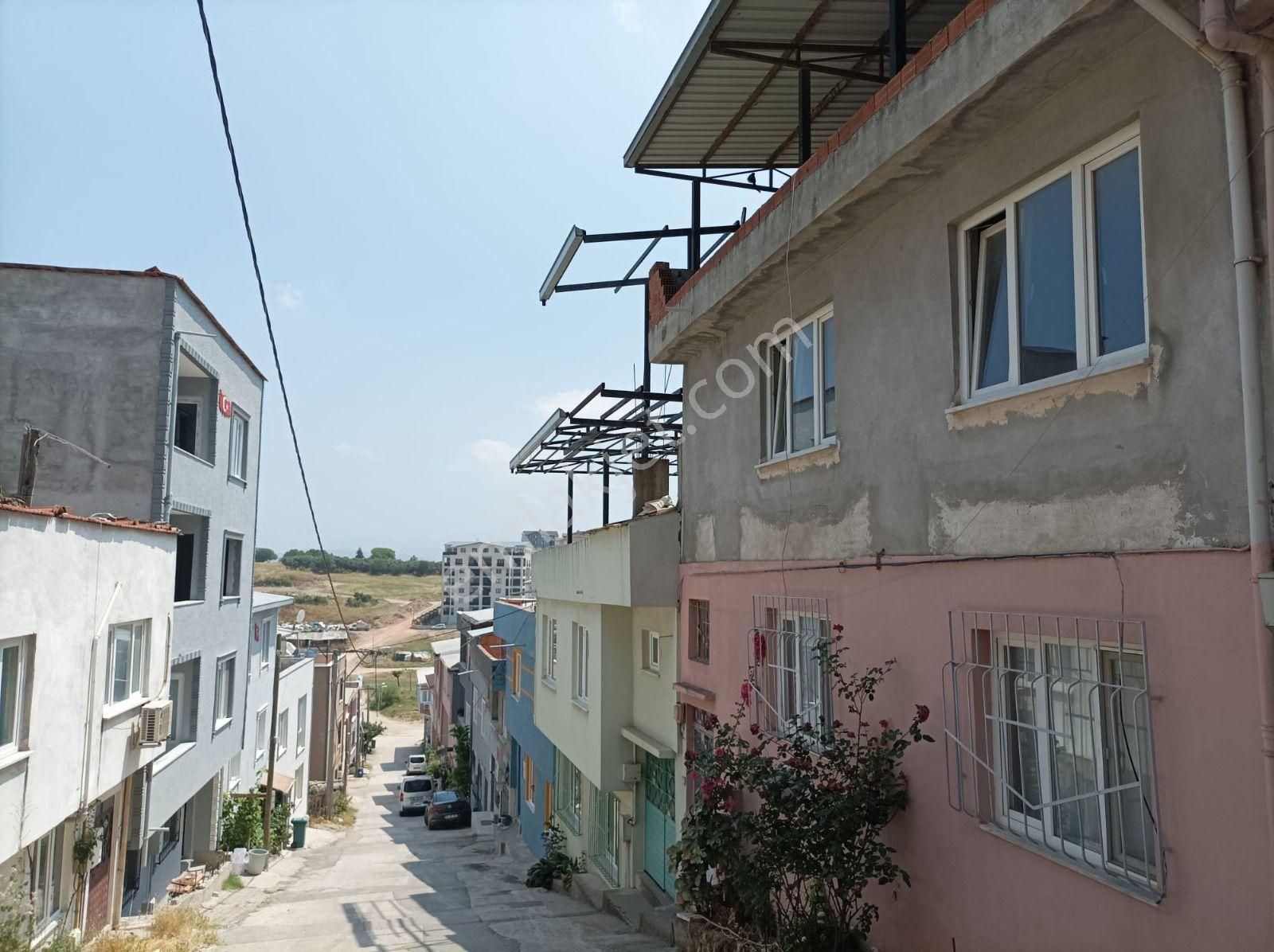 Hamitler De İki Daireli
