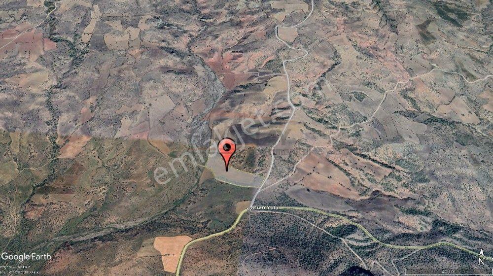 Güvenay - Çorum - Mecitözü Yolu Yanı 45 Dönüm Satılık Tarla - Görsel 16