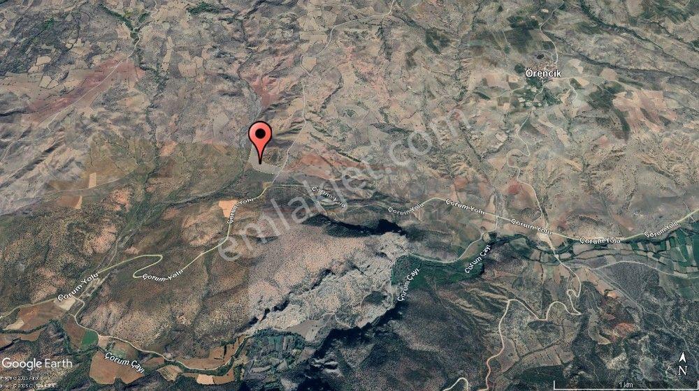 Güvenay - Çorum - Mecitözü Yolu Yanı 45 Dönüm Satılık Tarla - Görsel 5