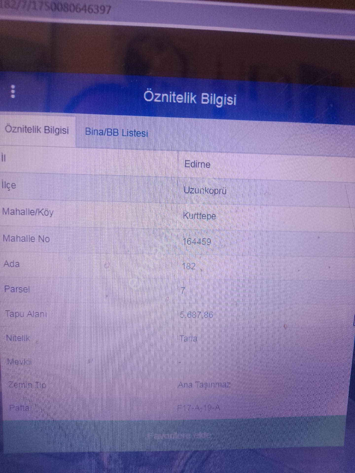 Edirne Uzunköprü Kurttepe Köyünde Satılık Tarla - Görsel 2