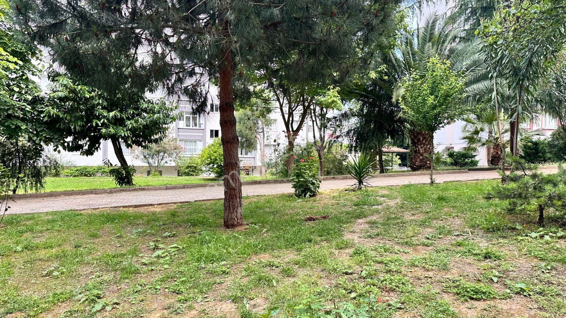 Trabzon Konaklar Mah.site İçinde Kiralık Daire - Görsel 7