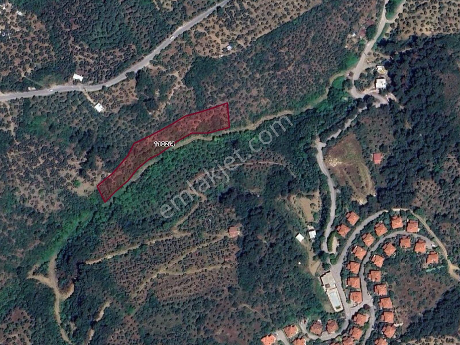 Mudanya Musabey Şükrüçavuşta Satılık Zeytinlik