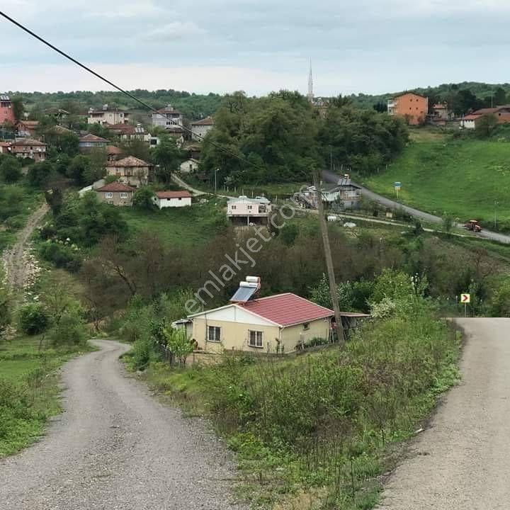 Kupon Arsa
