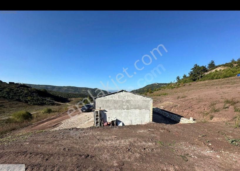 Selcukgazı 3 Donum Tek Tapu
