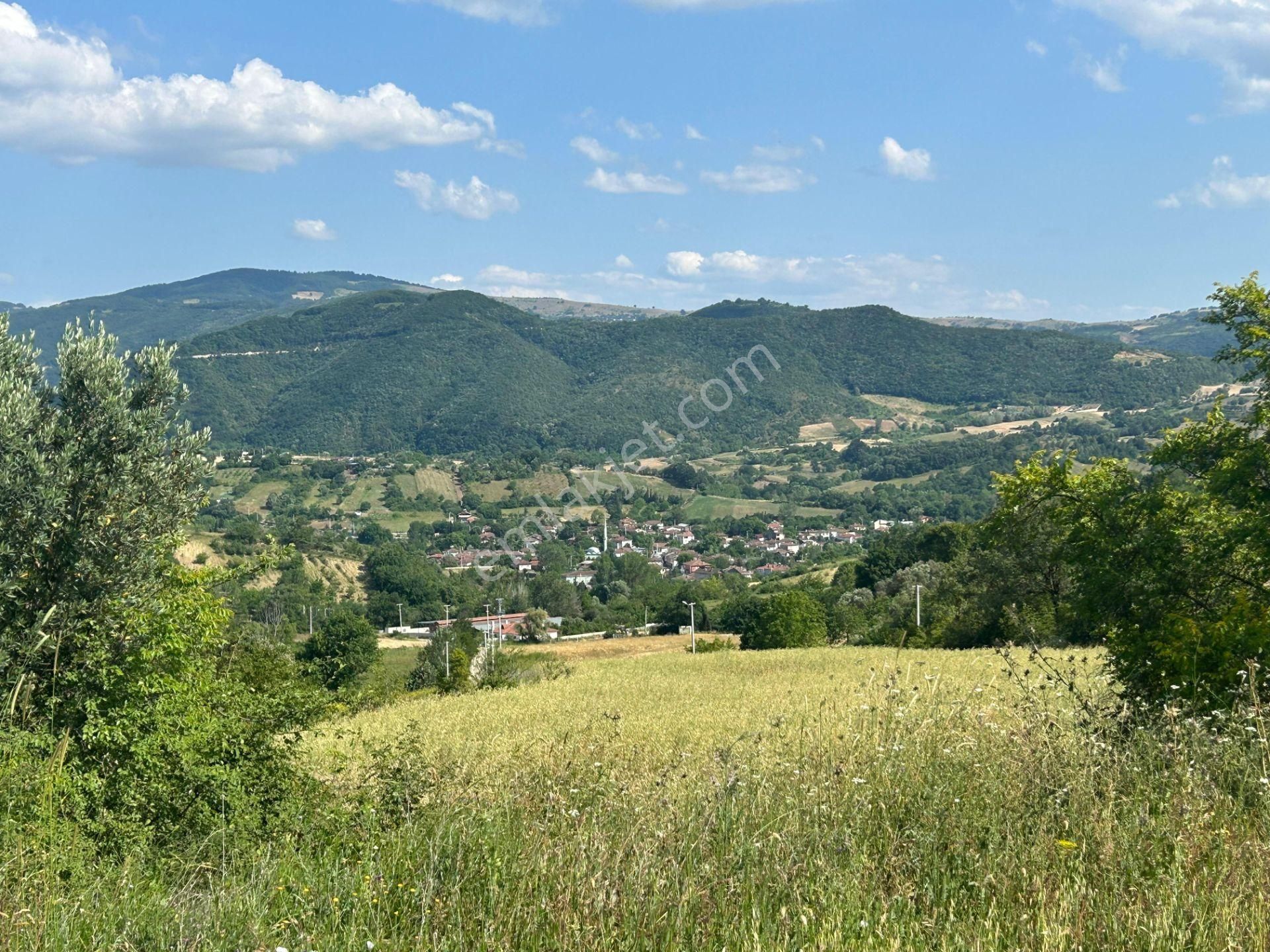 Kocaeli Karamürsel Yalakdere Satılık 3.754 M2 Tarla
