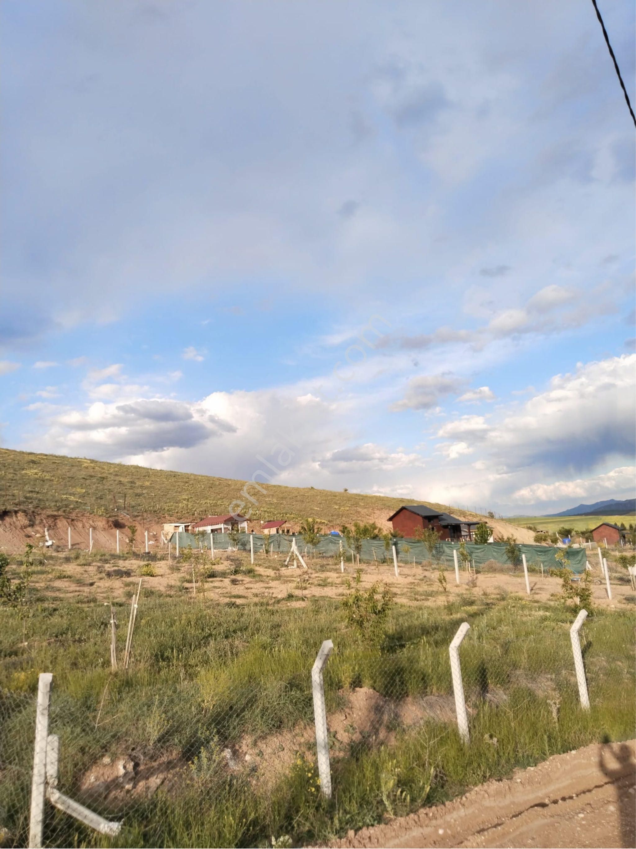 Finans Gayrimenkul'den Çayboyunda Satılık 1000 M2 Bahçe