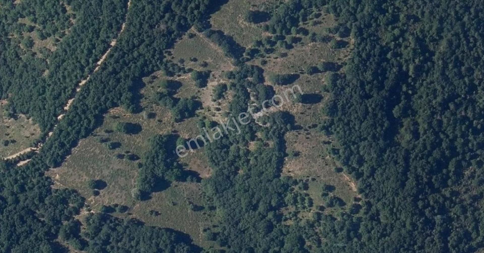 Çanakkale Yenice Karadoru’da Satılık Tarla 4819,18 M2