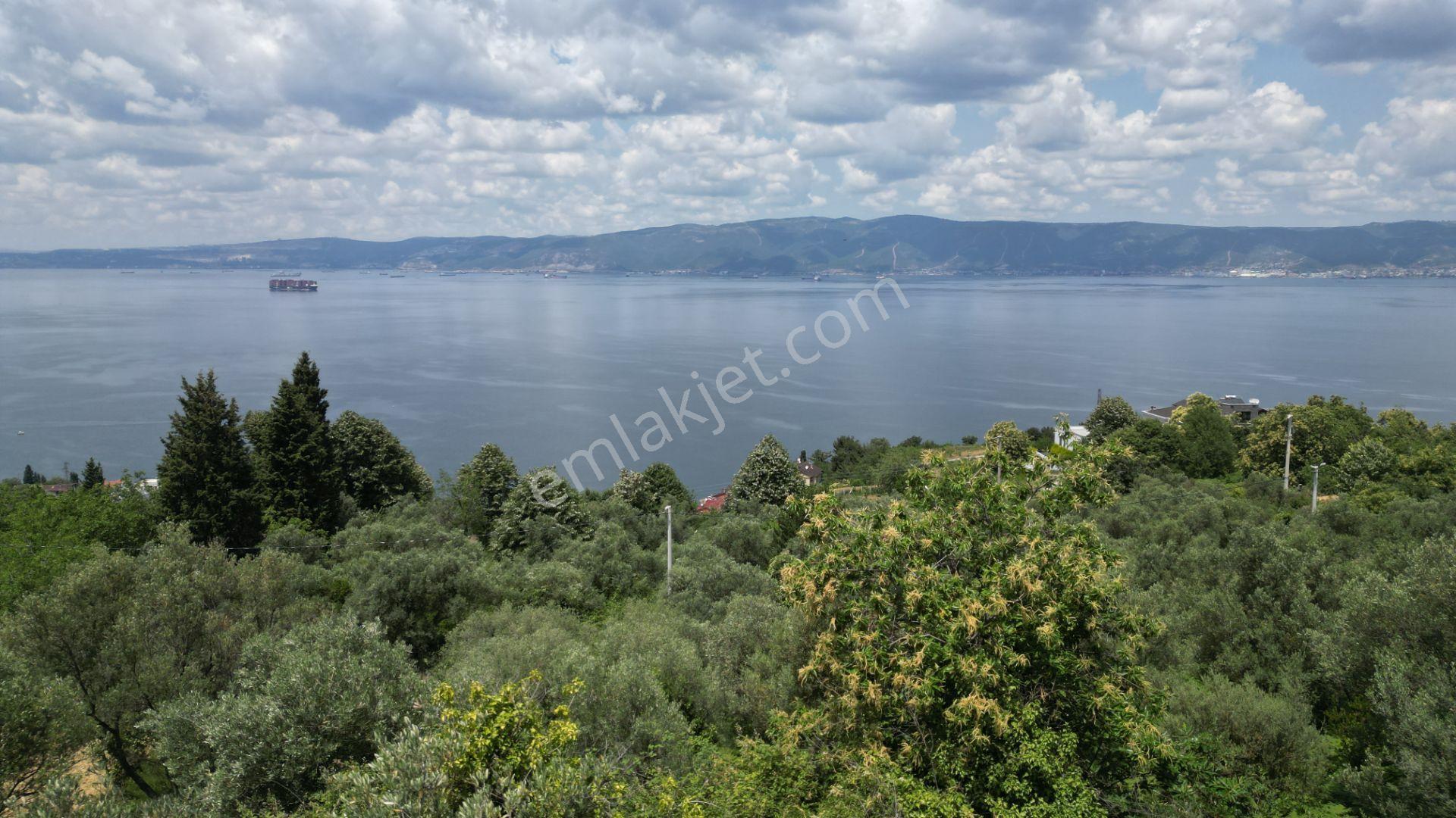 Kocaeli Gölcük A.ulaşlı %25 Konut İmarlı 430 M2 Satılık Arsa - Görsel 11