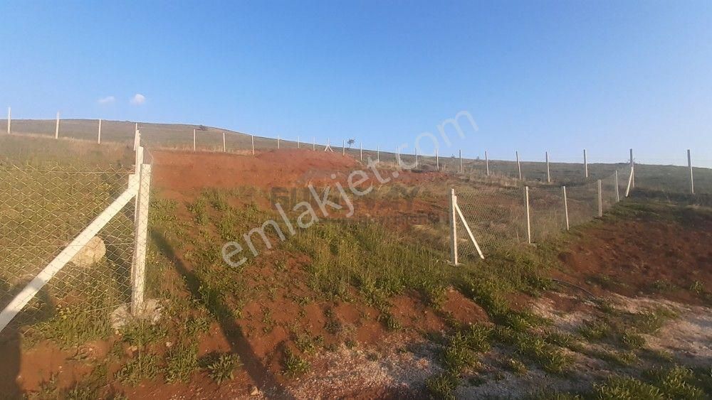 Güvenay - Çorum Osmancık Yolu Üzeri Sarmaşa Mevki Satılık Hobi Bahçesi
