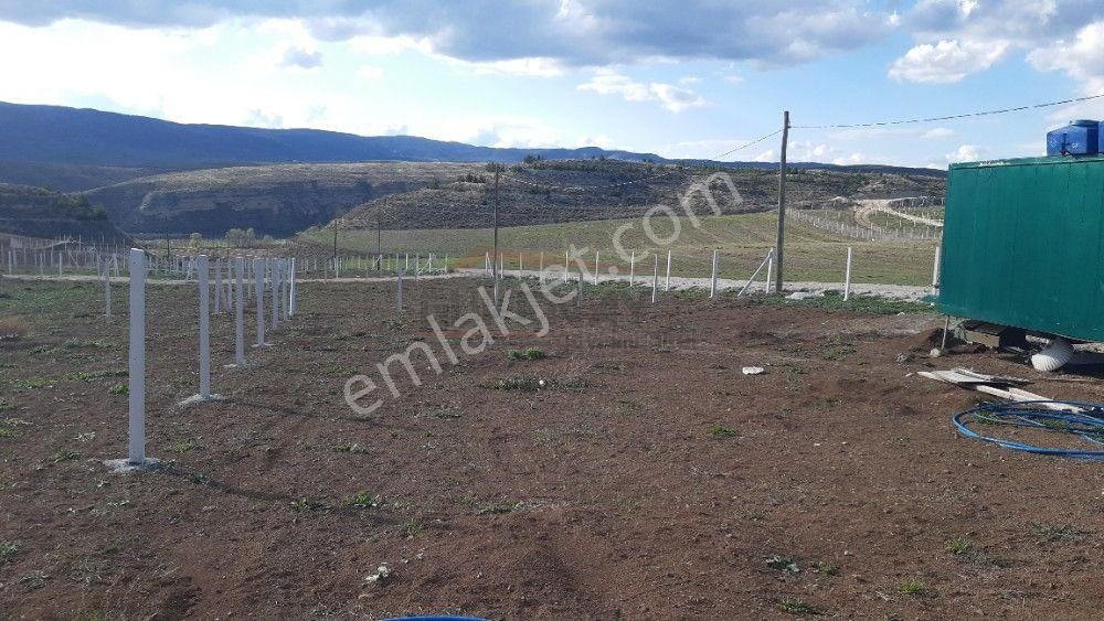 200,000 Peşin, Ayda 50,000 Tl Taksitle Bahçe Sahibi Olun