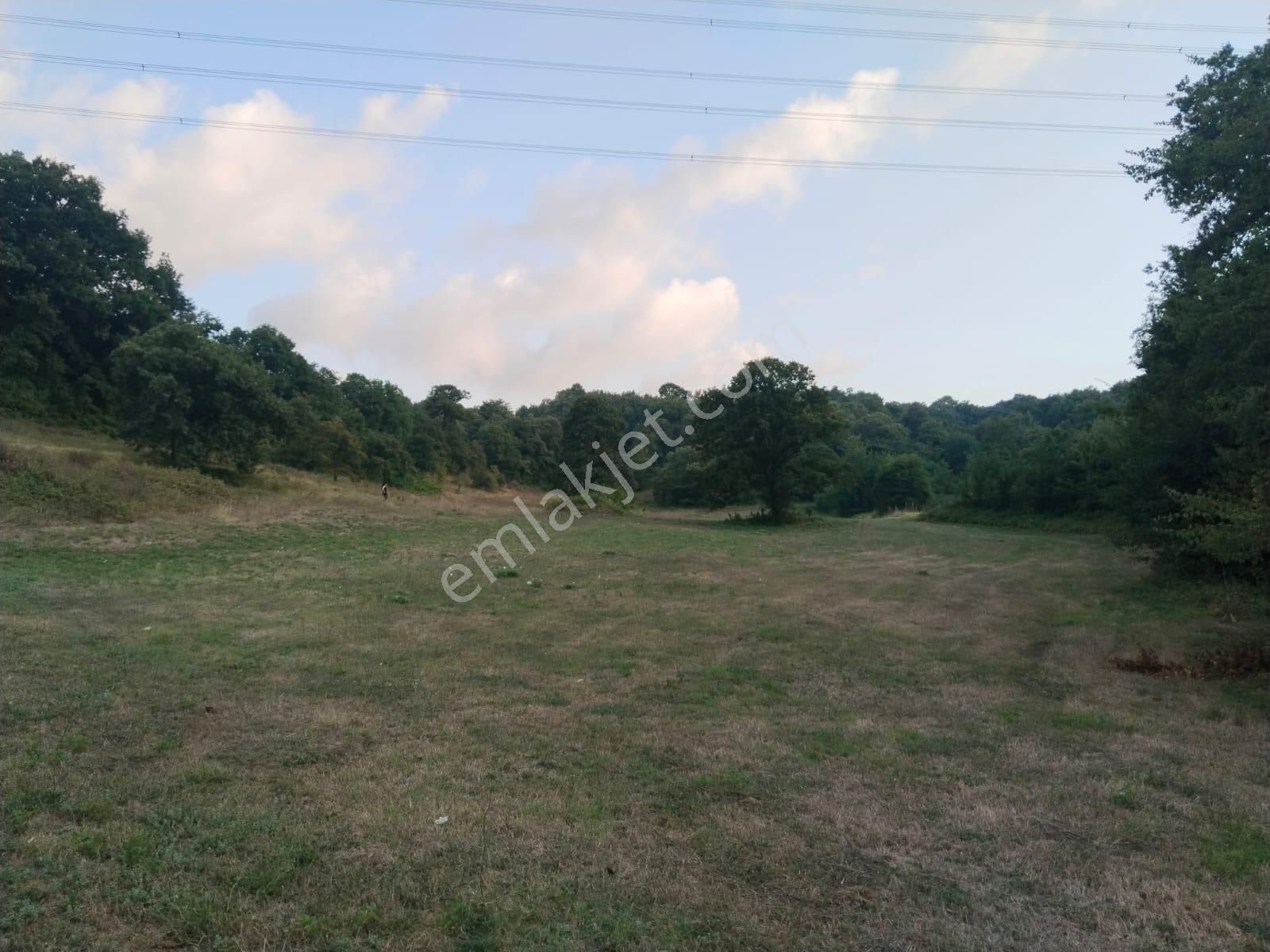 Kocaeli Kandıra Tatarahmet Satılık 2.649m2 Tarla