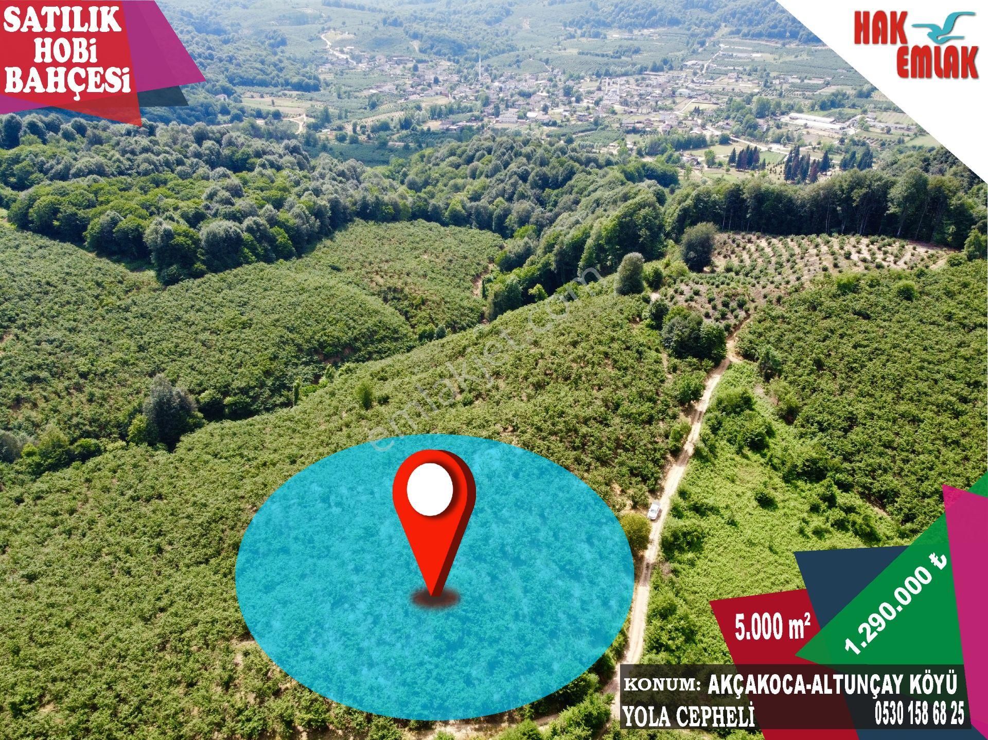 Hak Emlak'tan Akçakoca Altunçay Köyünde Satılık 5.000 M² Fındıklık