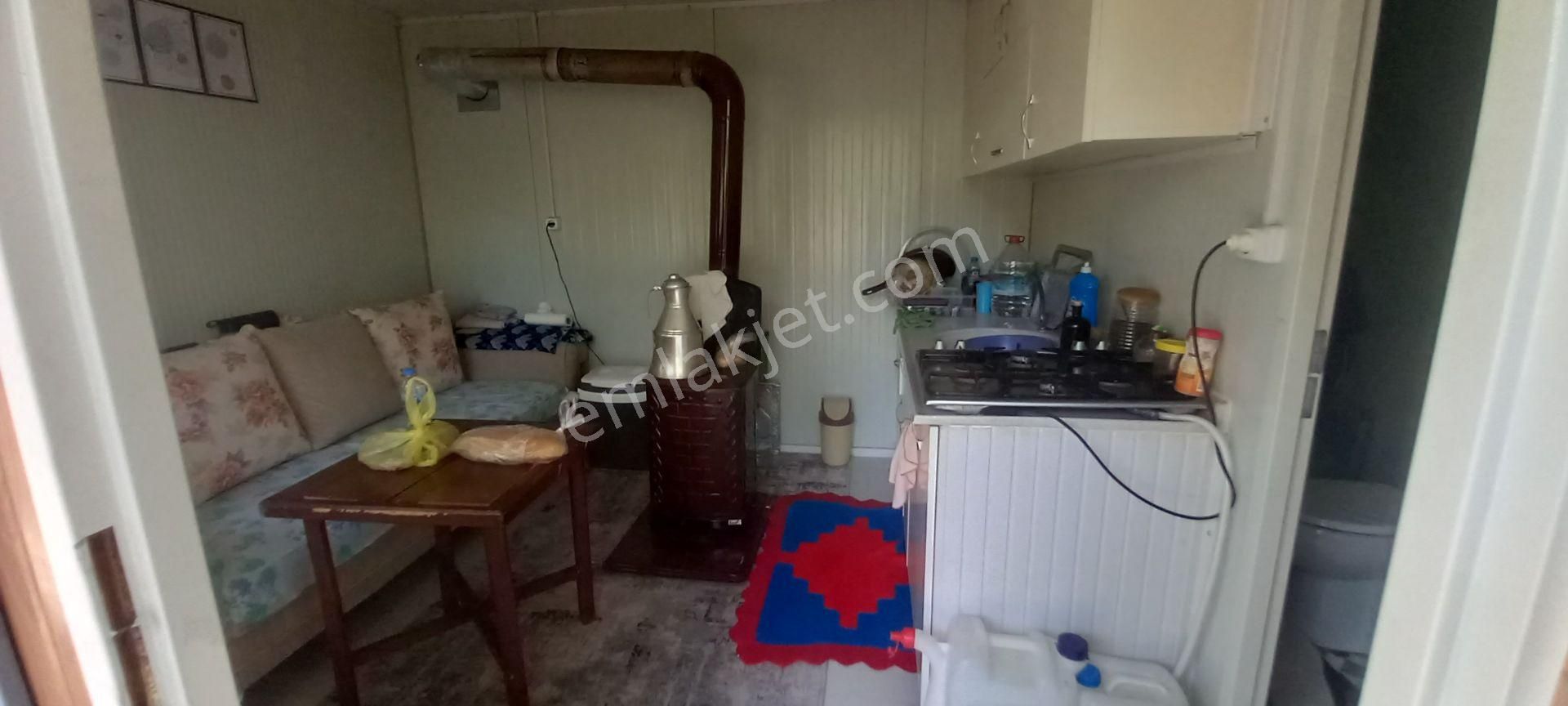 Saruhanlı Paşaköye Yakın 6.000 M2 Evi Olan Zeytinlik 3.750.000 Tl - Görsel 9