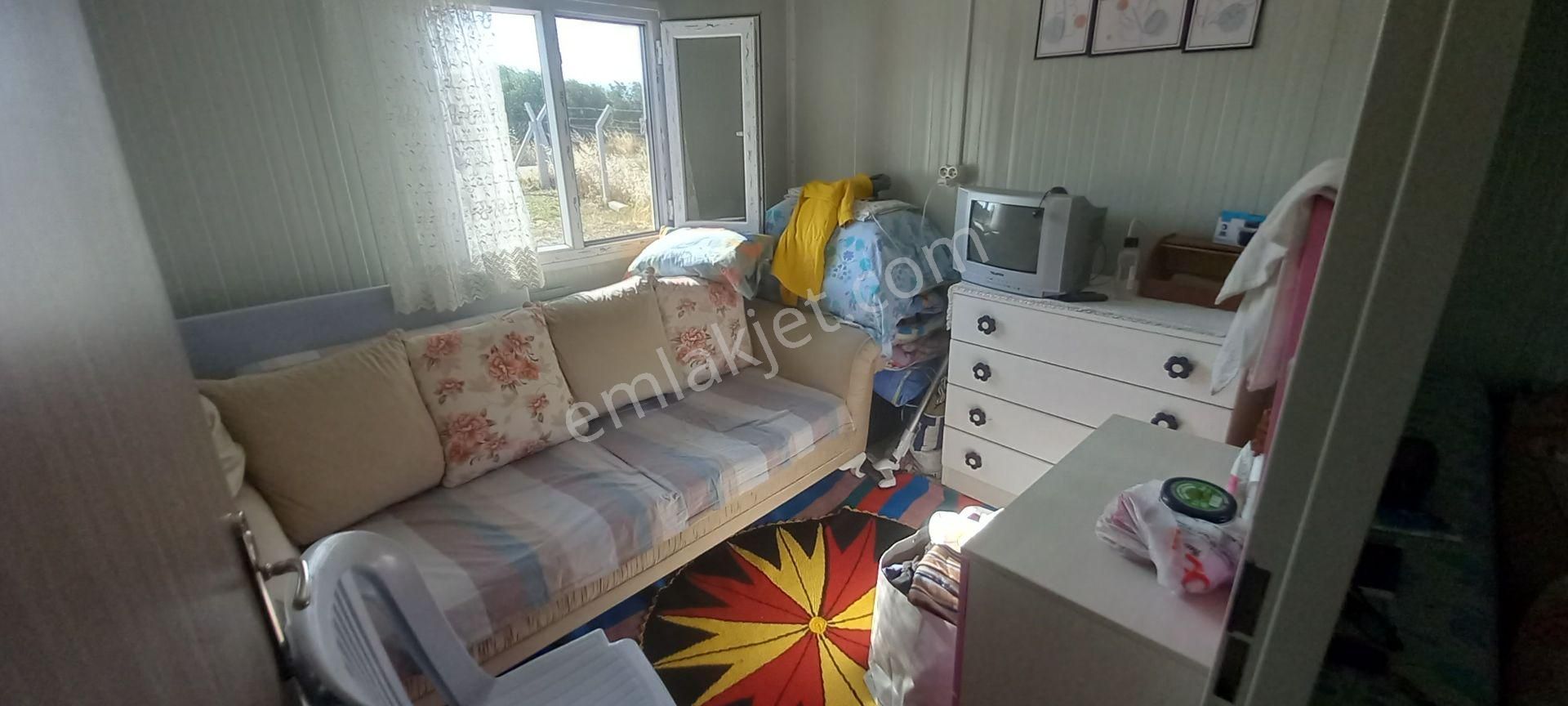 Saruhanlı Paşaköye Yakın 6.000 M2 Evi Olan Zeytinlik 3.750.000 Tl - Görsel 11