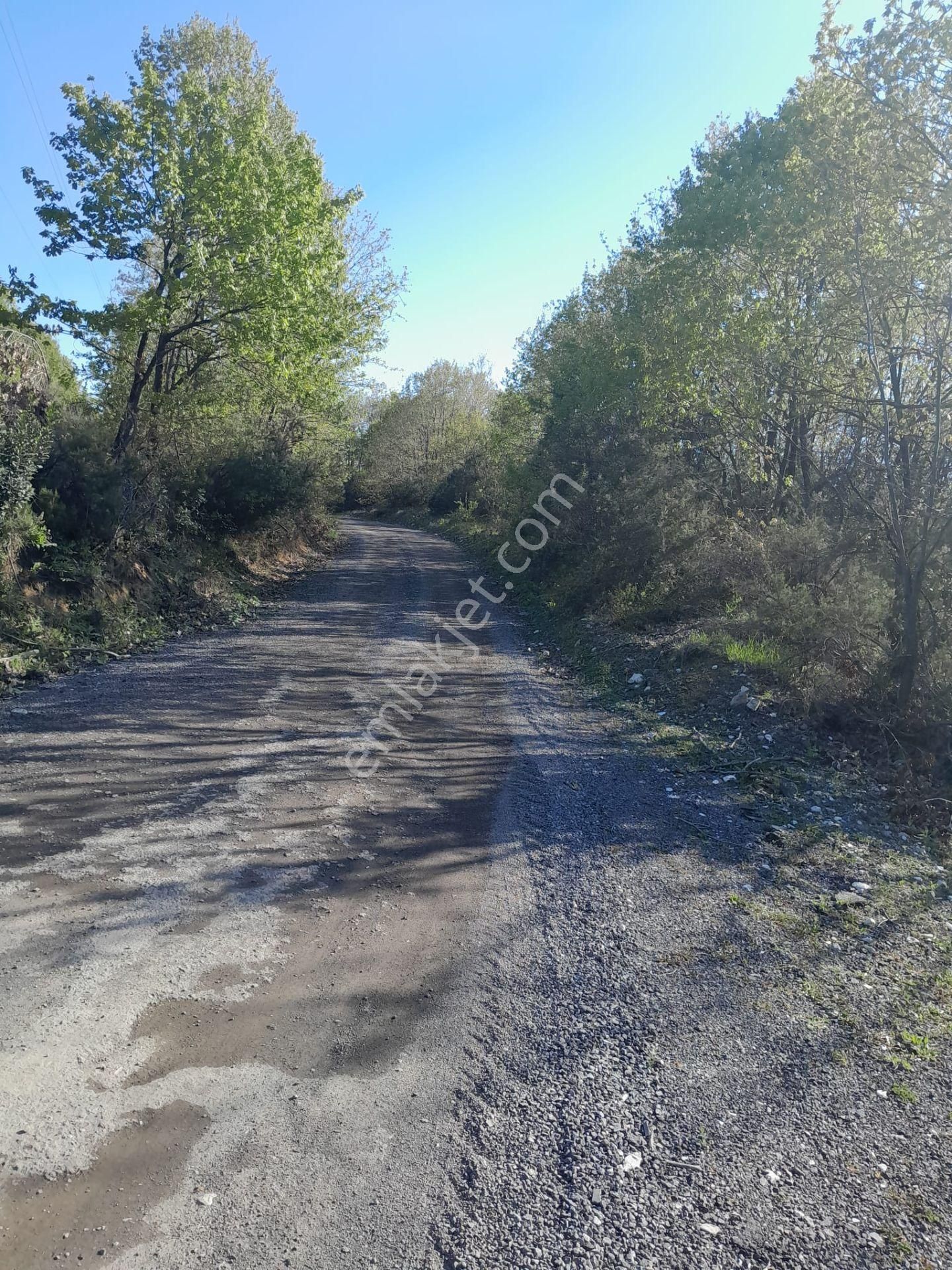 Şile De Satılık Arsa - Görsel 3