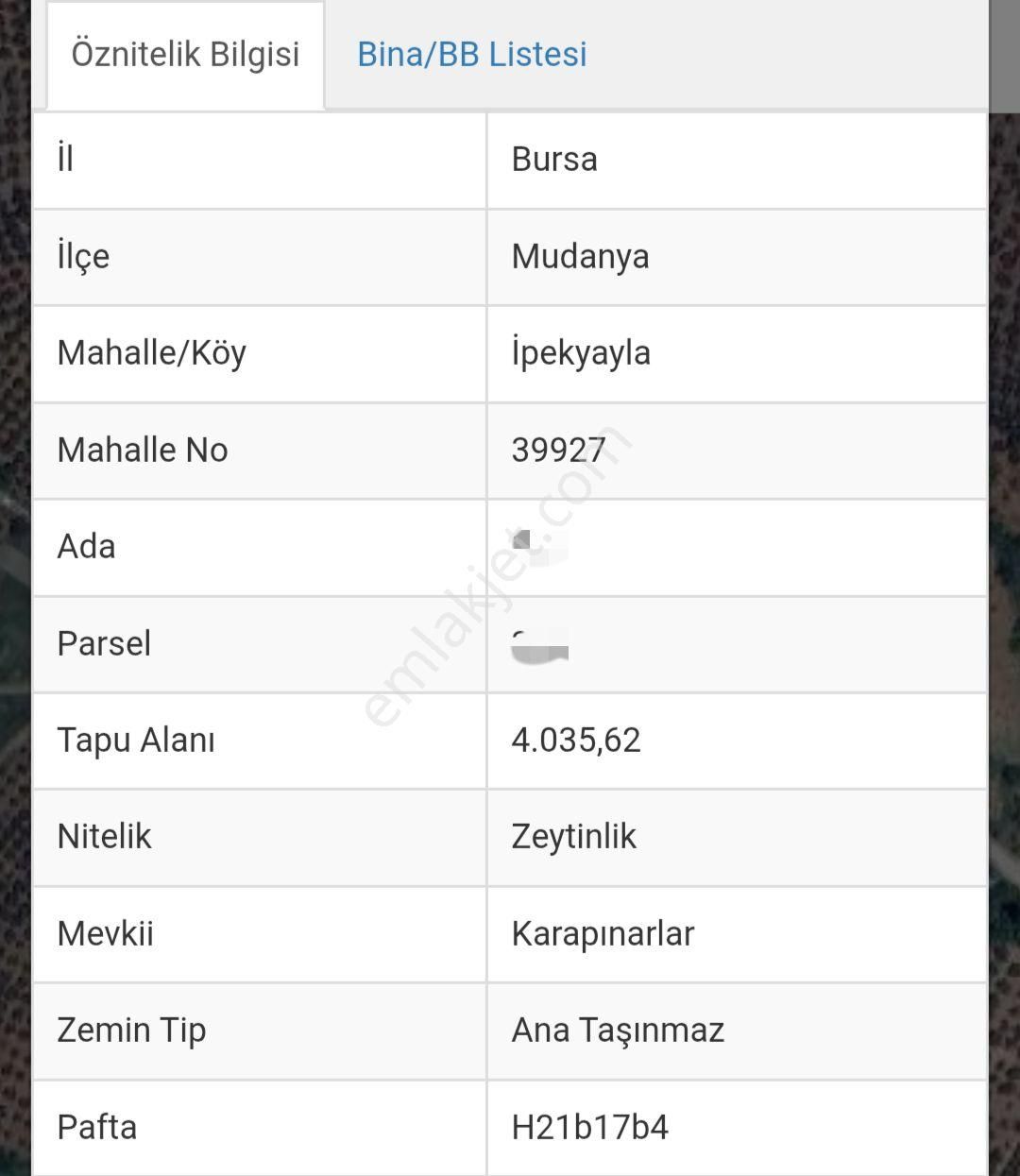 Ena Group Bursa Mudanya. İpekyayla 4035 M2 İki Yola Cephe Bahçe - Görsel 2
