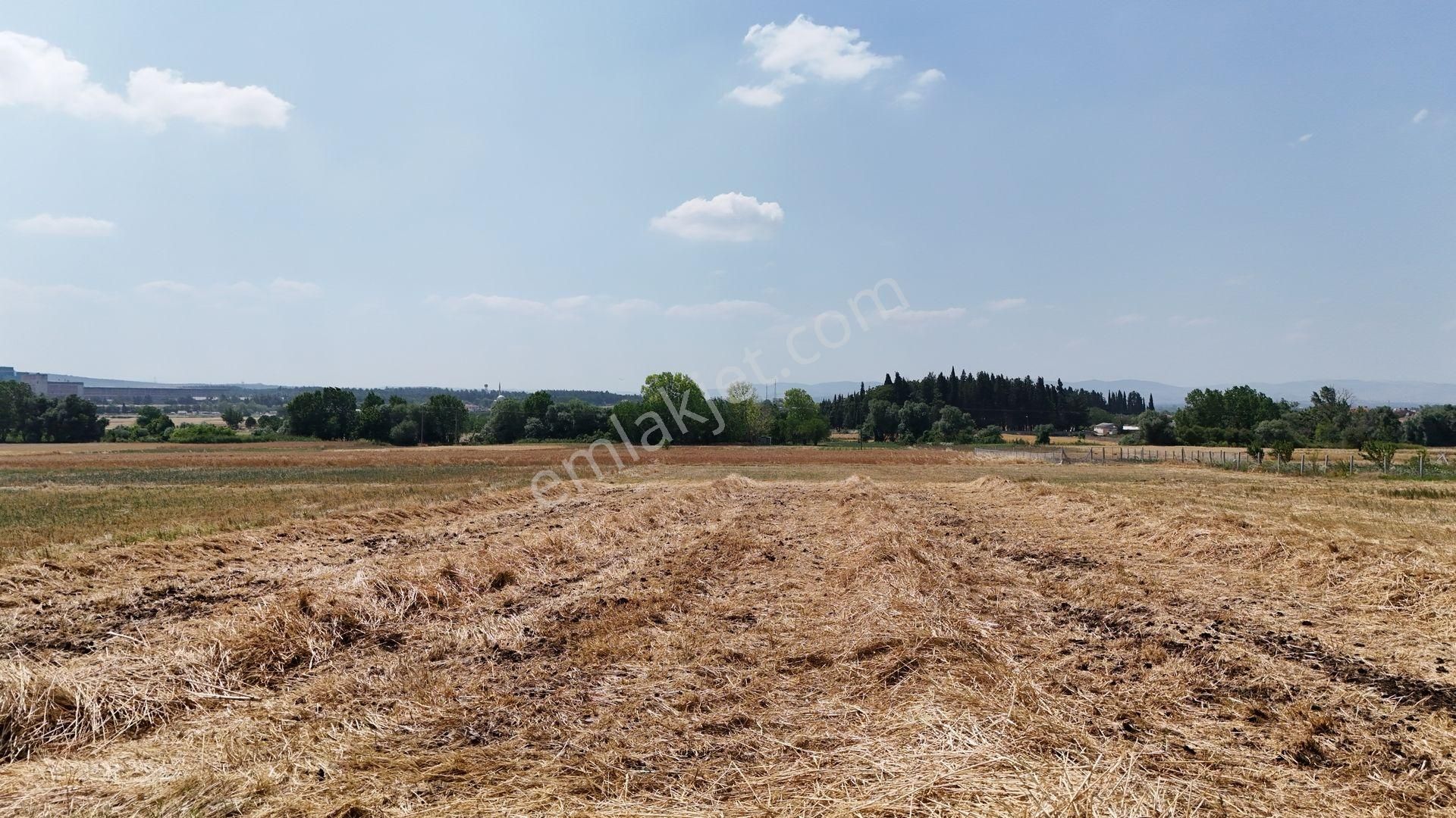 S&s Emlak'dan Balıkesir Atköy'de Satılık 850 M2 Kadastrol Yola Cephe Tarla