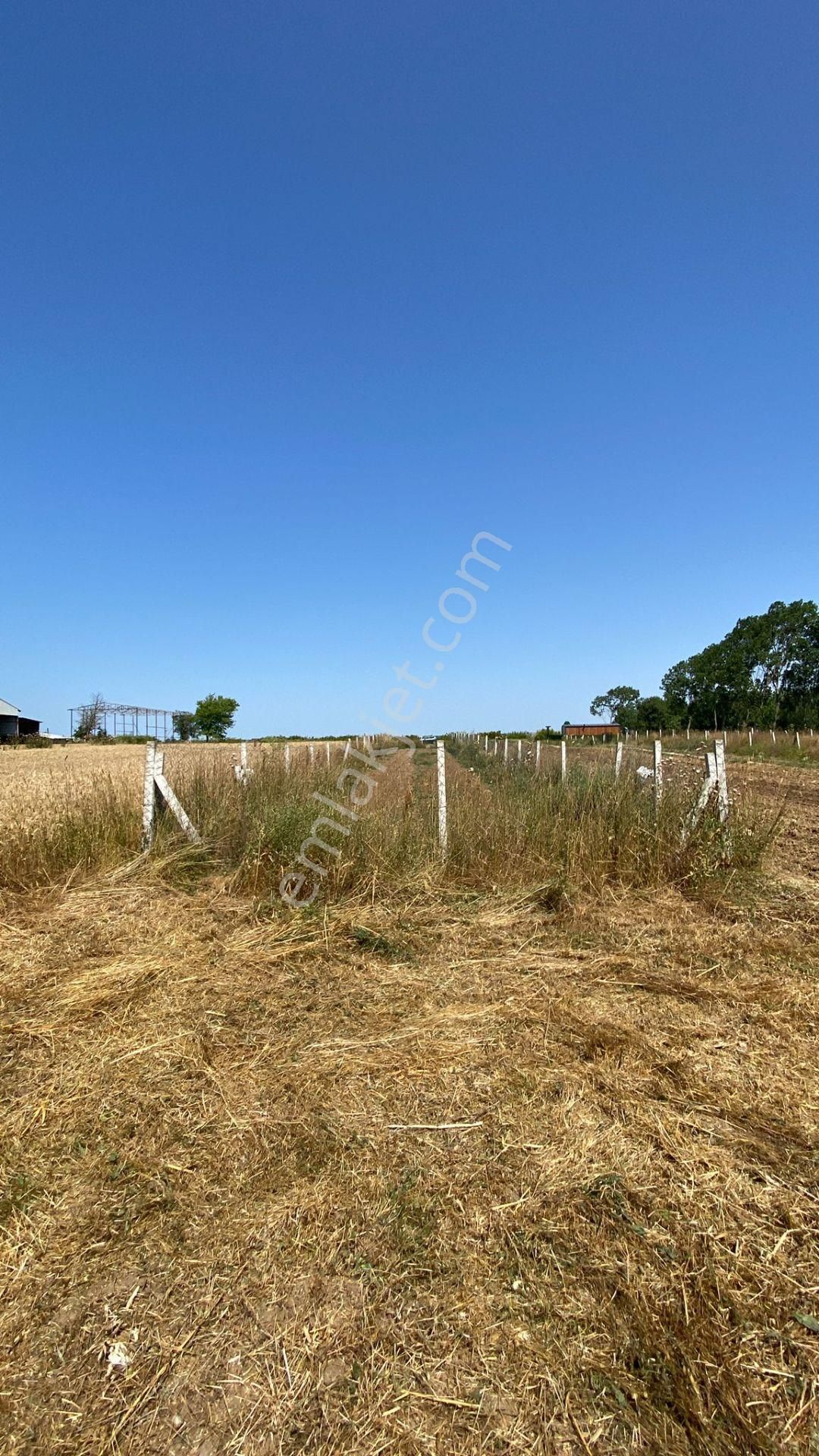 Türkiye Emlak Çatalca İzzettin'de Çap Muvafakatnameli Satılık Kupon Arsa - Görsel 4