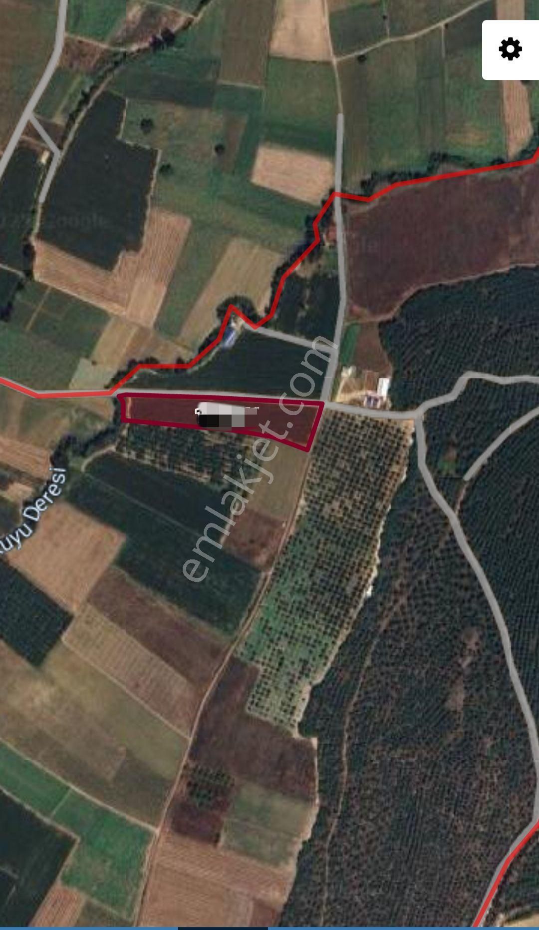 Ena Group Bursa Yenişehir Toprakocak'ta 9500 M2 Satılık Tarla - Görsel 3