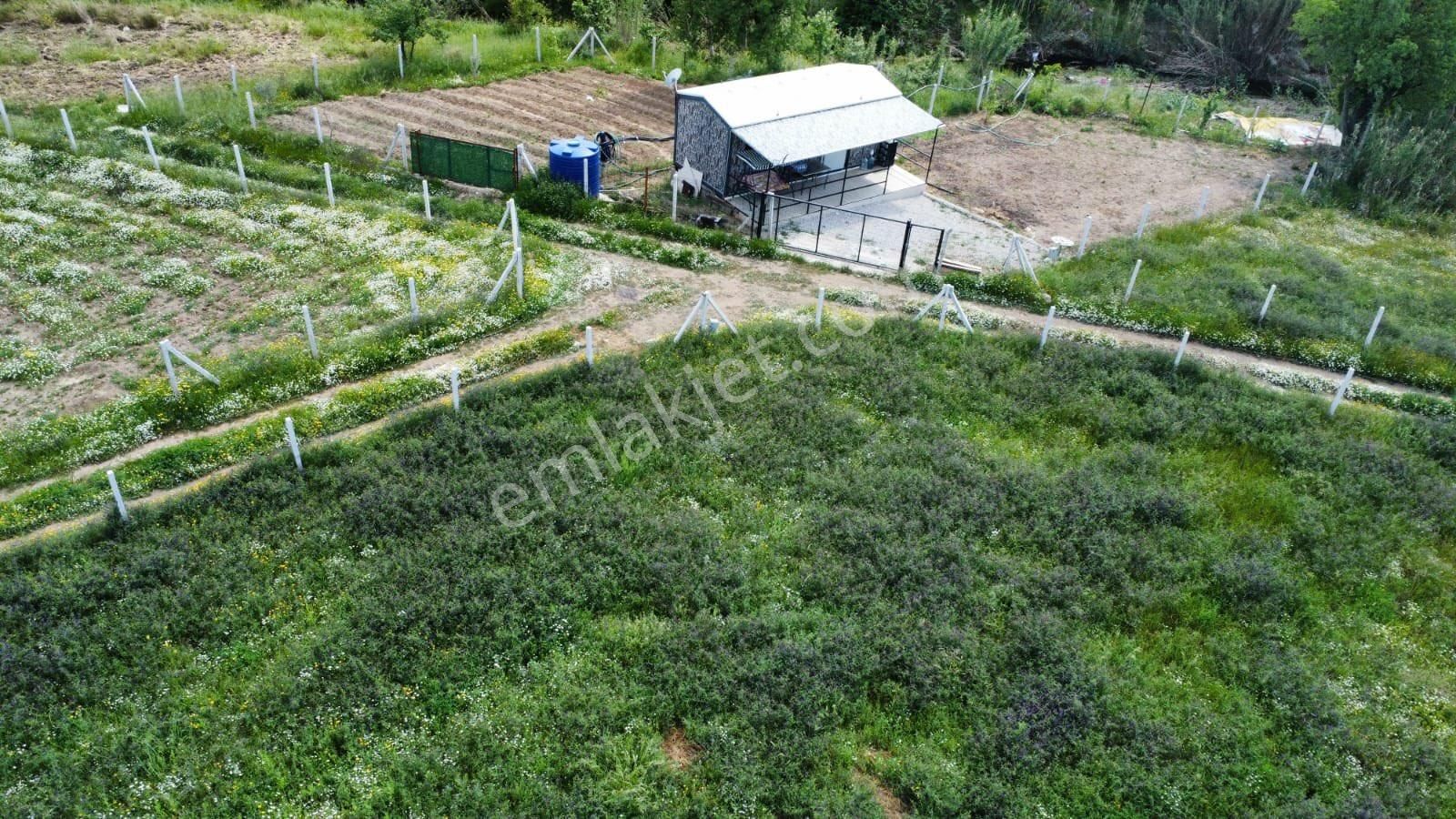 İzmir Zirve’den Menderes Dereköy’de Satılık İçinde Evi Olan Satılık Hisse Tapu Arsa