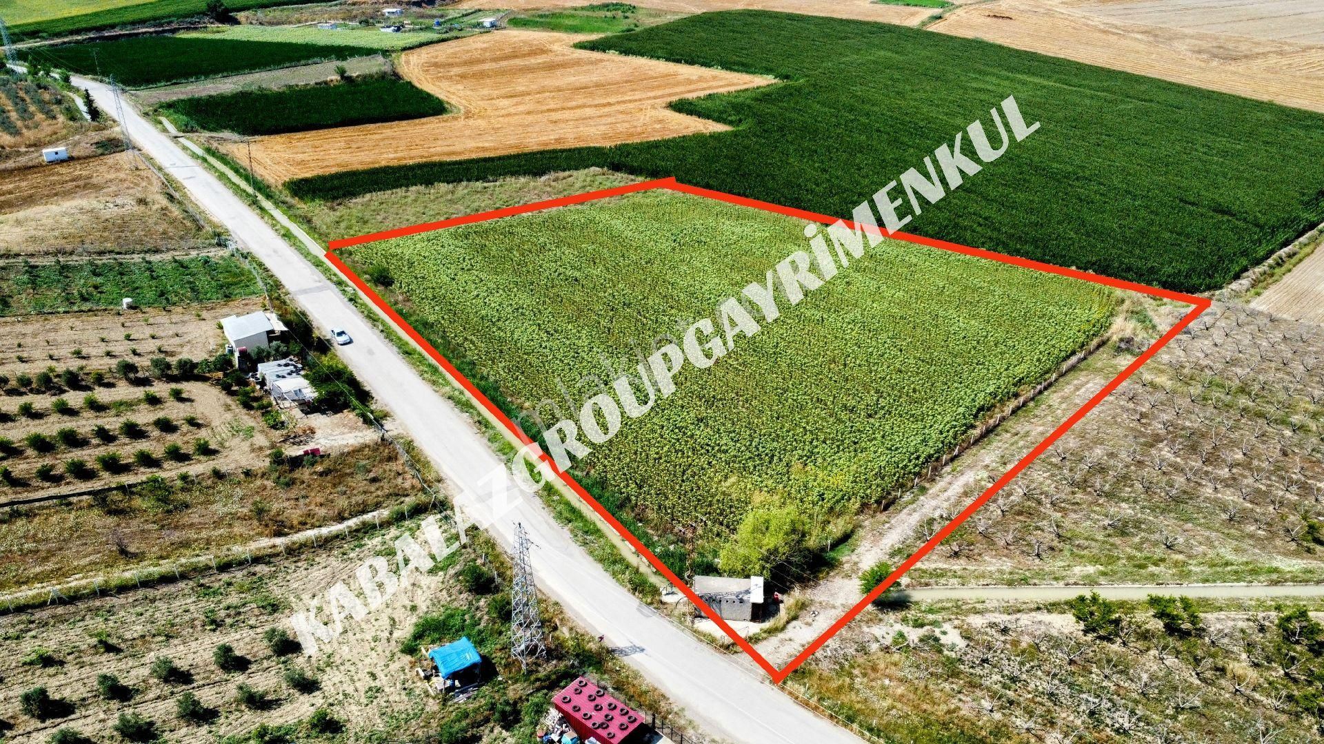 Adana Karaisalı Kuzgun'da 9.872m² Fırsat Tarla