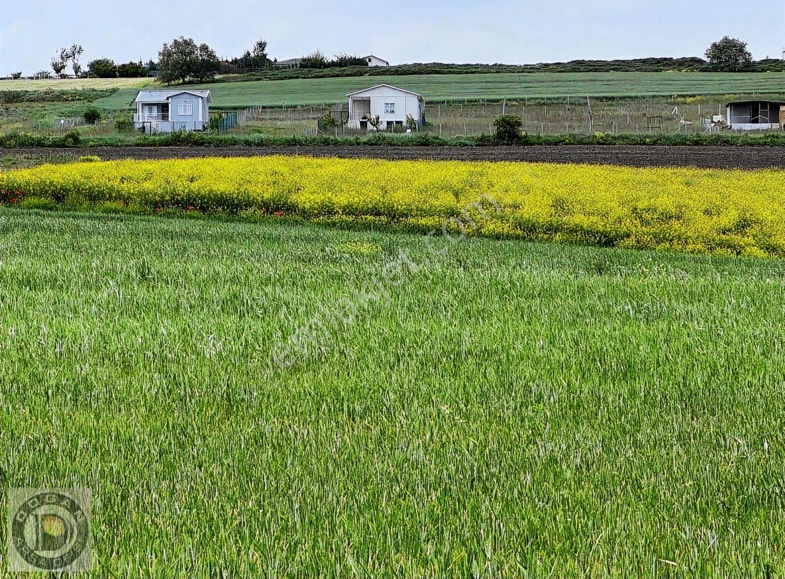 Silivri Çanta Da 311 M2 Konut İmarlı Doğa&şehir Manzaralı Arsa - Görsel 35