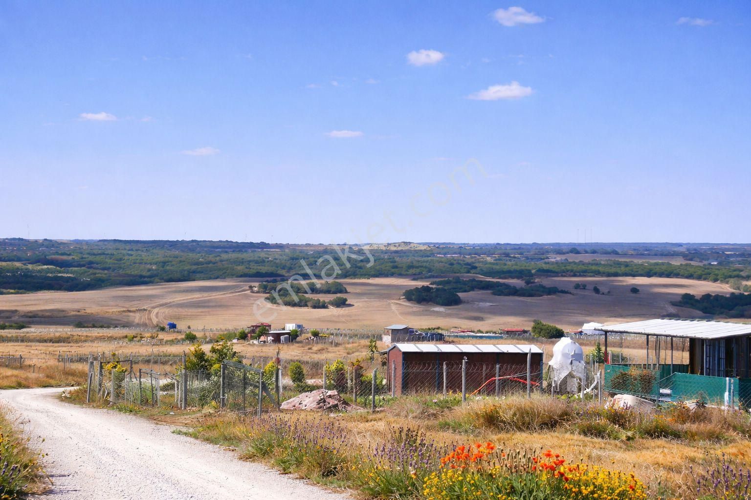 Silivri De İmarlı İfrazlı 250 M2 Arsa Son Yer Bu Haftaya Özel