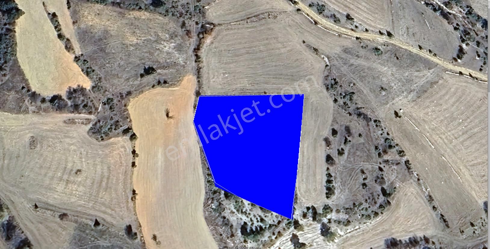 Kütahya Emet'de 3.692 M2 Yerleşime Yakın Köye Yakın Düz Arazi