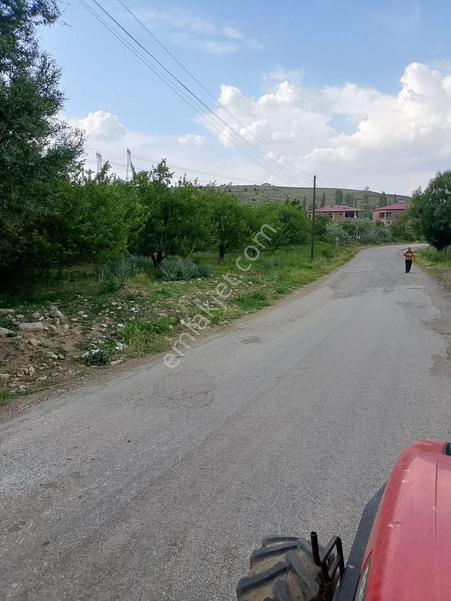 Kahramanmaraş Göksun Ericek Te 13 Dönüm Satılık Bahçe