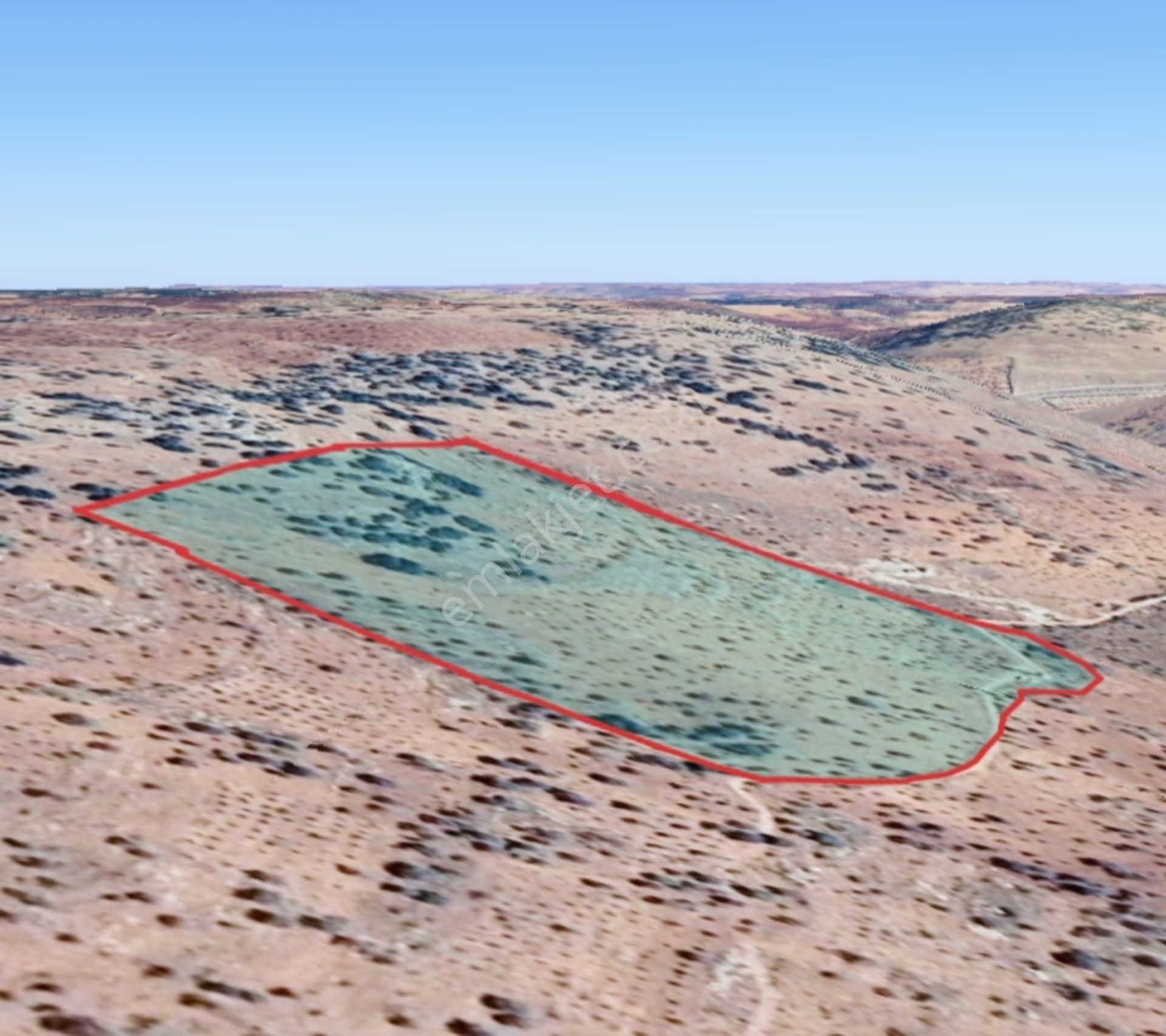 Nizip Salkım Da 38 Dönüm Yatırımlık Fıstıklık - Görsel 27