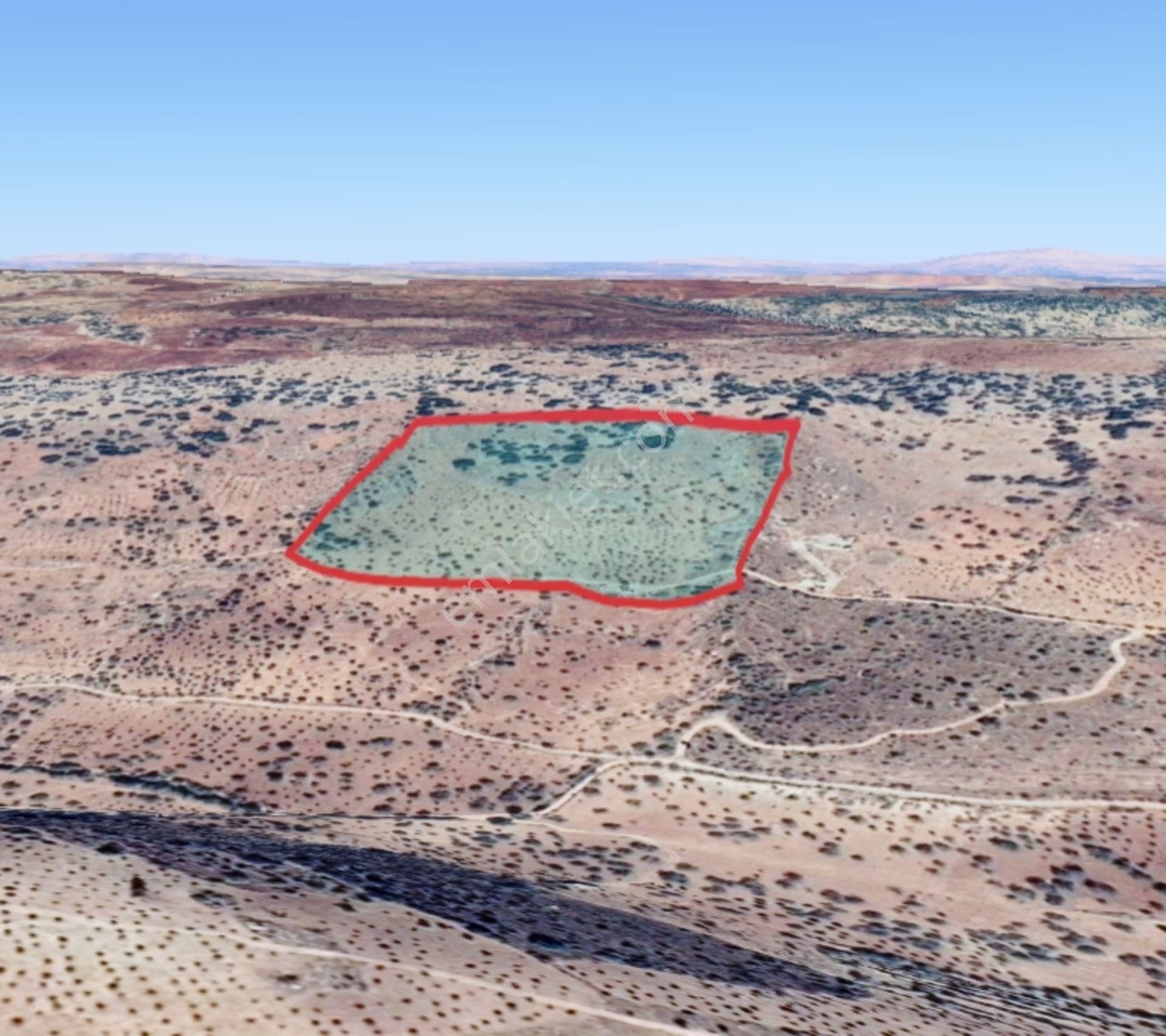 Nizip Salkım Da 38 Dönüm Yatırımlık Fıstıklık - Görsel 29