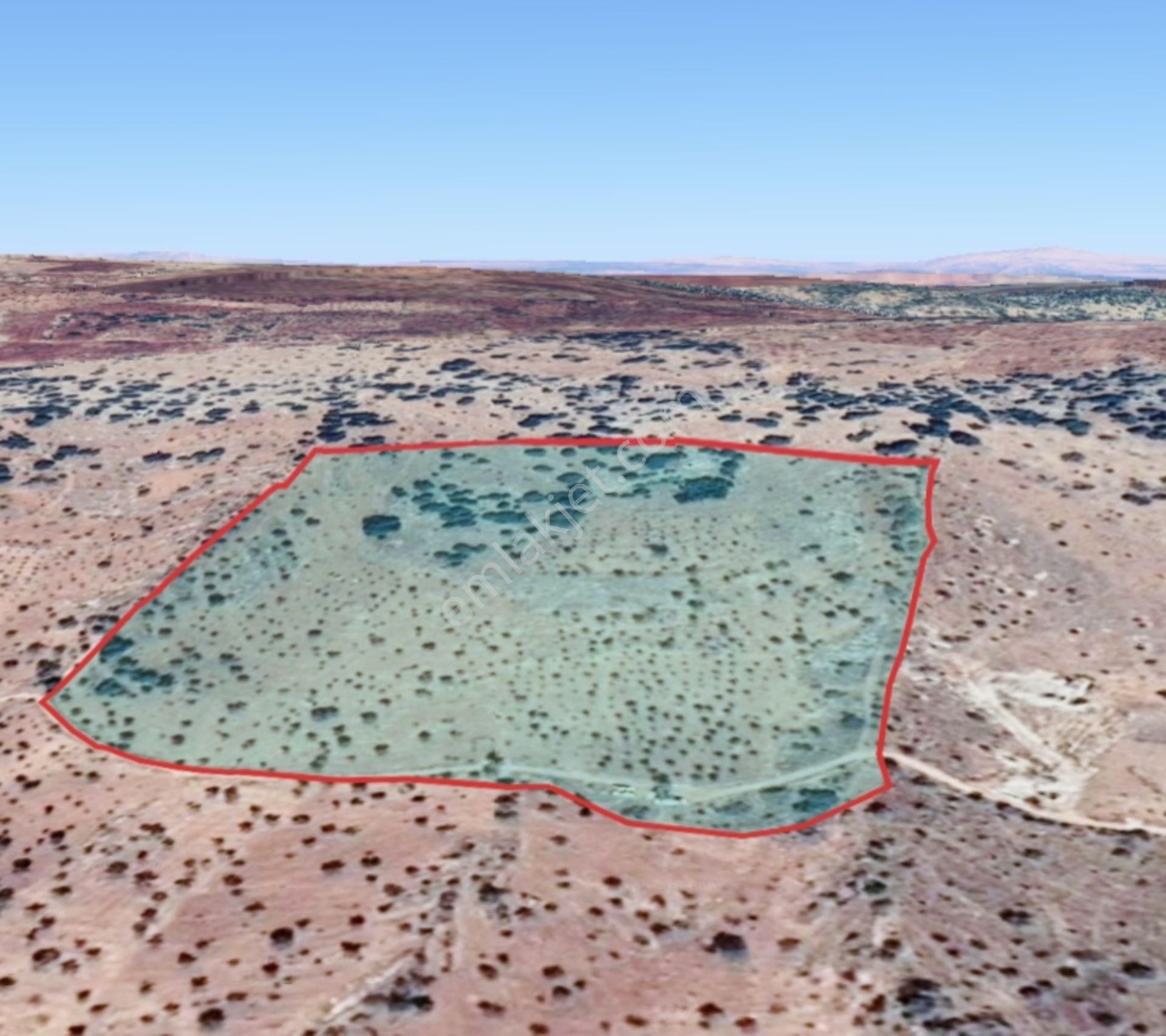 Nizip Salkım Da 38 Dönüm Yatırımlık Fıstıklık - Görsel 28