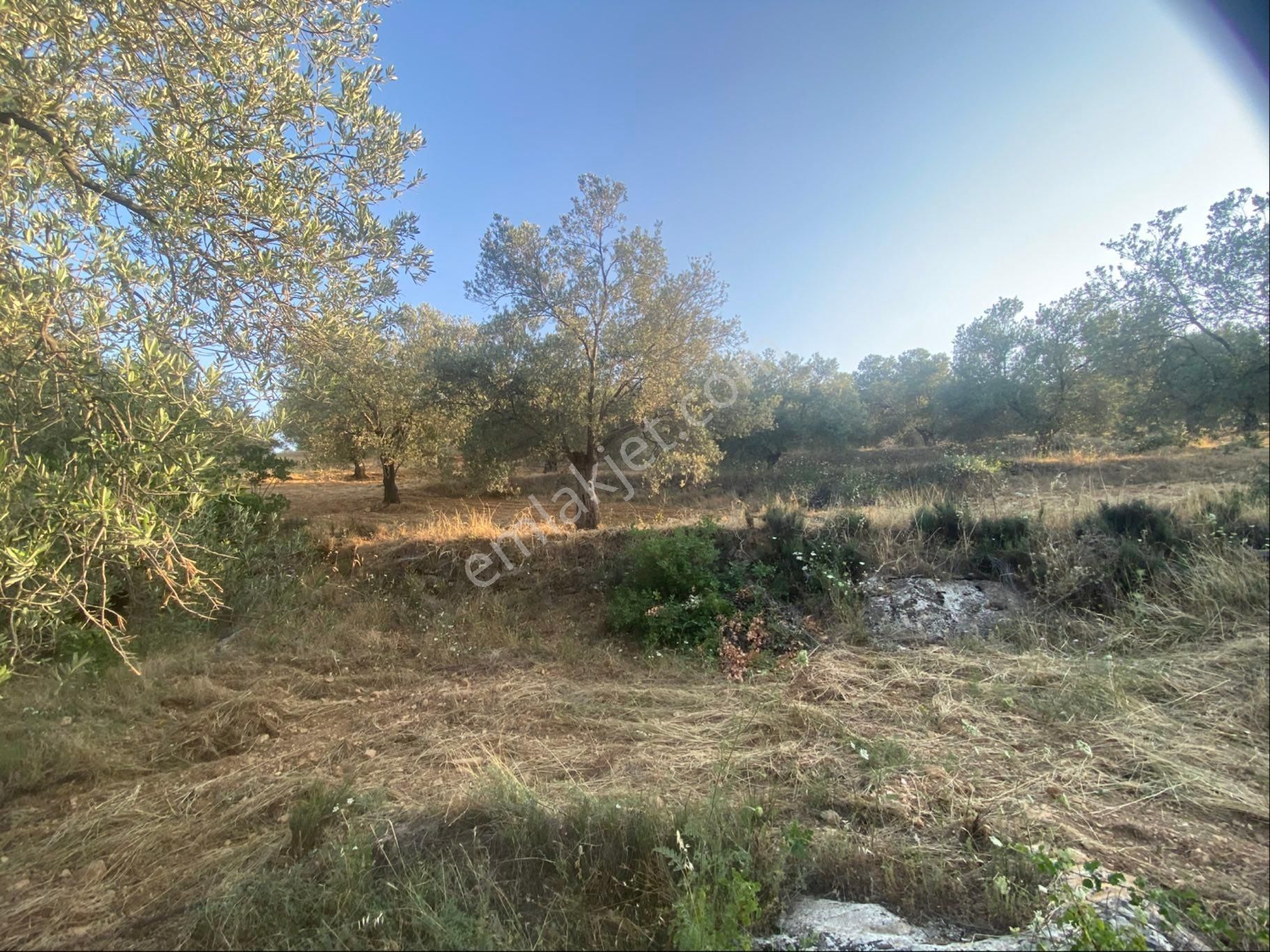 Balıkesir Burhaniyede Satılık Arazi - Görsel 7