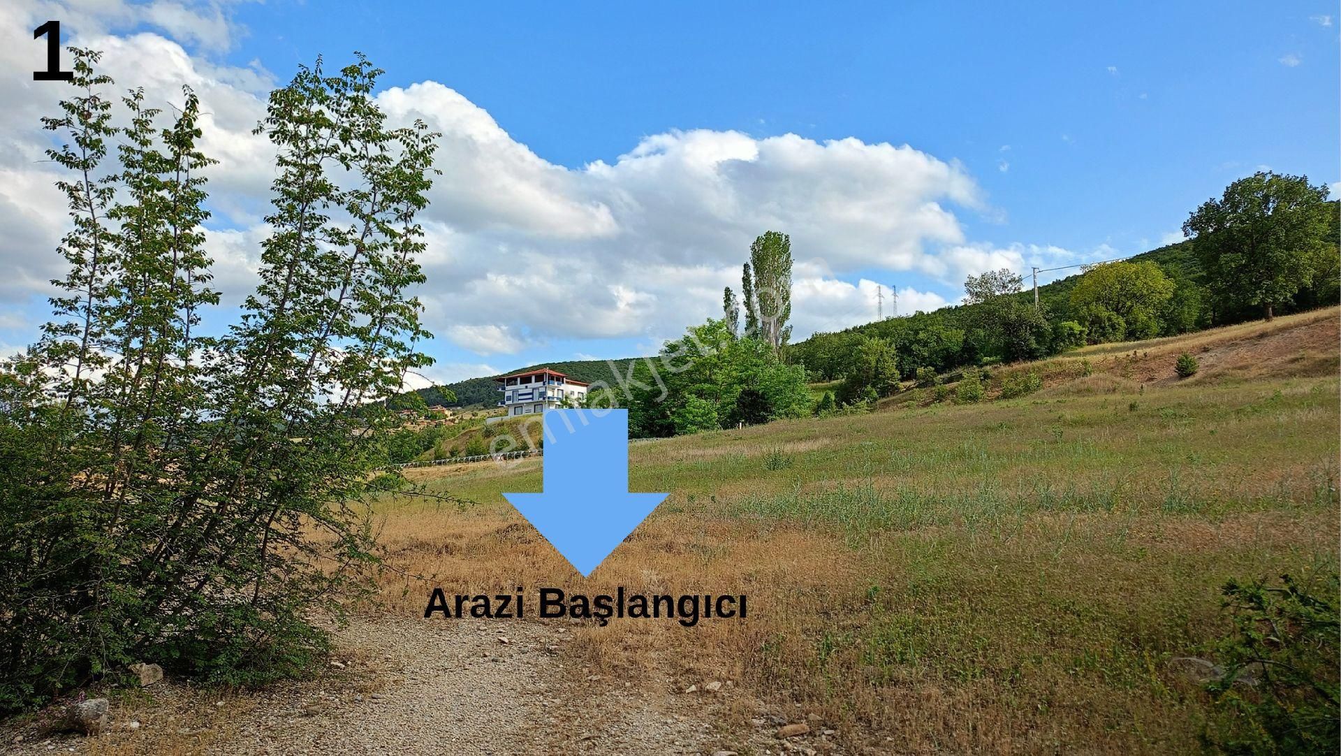 Sinop'ta Her Yönden Avantajlı 6.470,10 M2 Satılık Arsa/tarla
