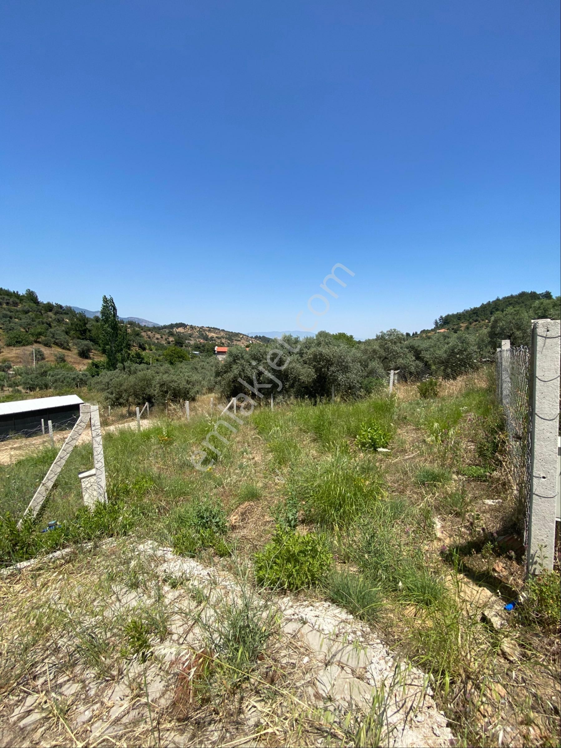 Kemalpaşa Yukarı Kızılca 303 M2 Satılık Bahçe