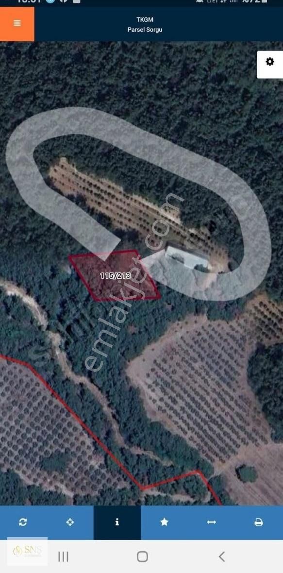 Satilik 300 M2 Depo Ve Bakimli Zeytin Bahçesi