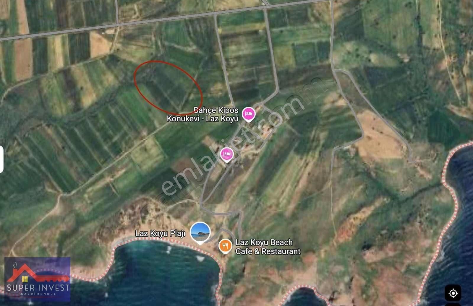Süper Investten Satılık Tarla, 10876.97 M2 Laz Koyu Mevki